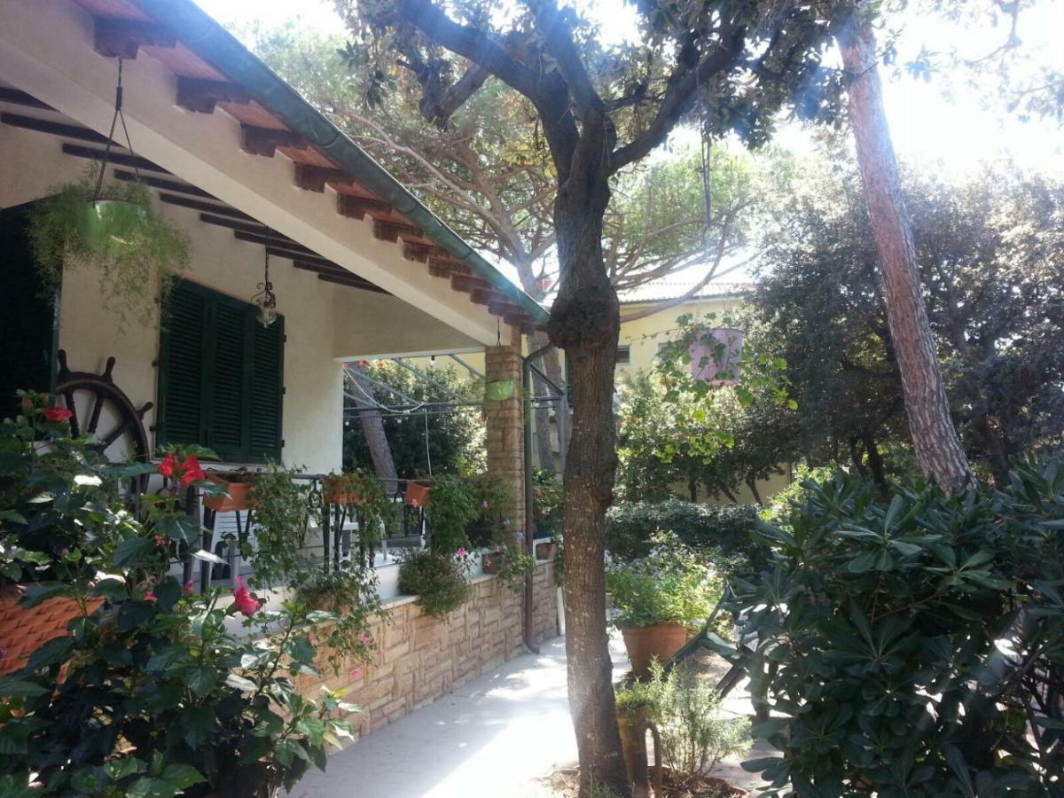 Maison d'hôtes La Zattera